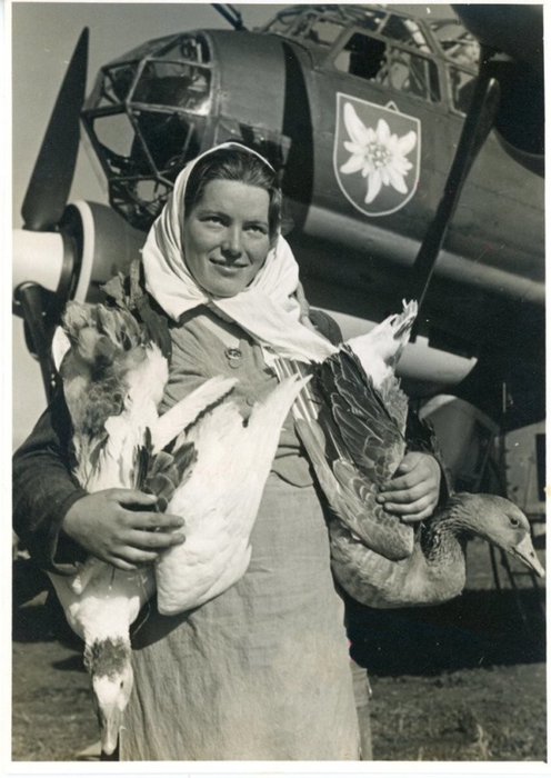 Ju88 du KG 51 (3).jpg